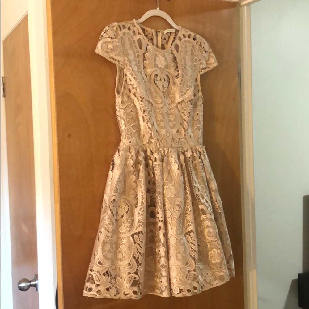 Alice and Olivia Gold Mini Dress